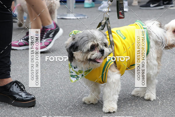 Buy your photos of the event13� C�ominhada - Santos on Fotop