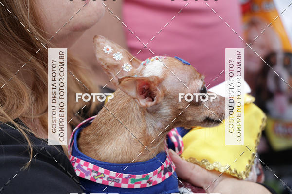 Buy your photos of the event13� C�ominhada - Santos on Fotop