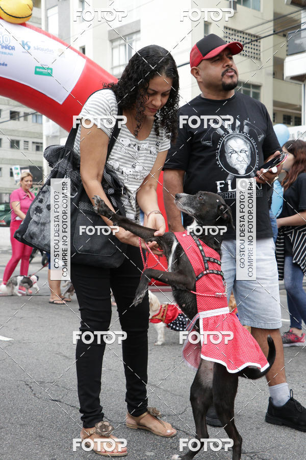 Buy your photos of the event13 Cominhada - Santos on Fotop