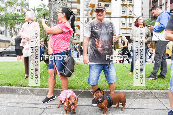 Buy your photos of the event13� C�ominhada - Santos on Fotop