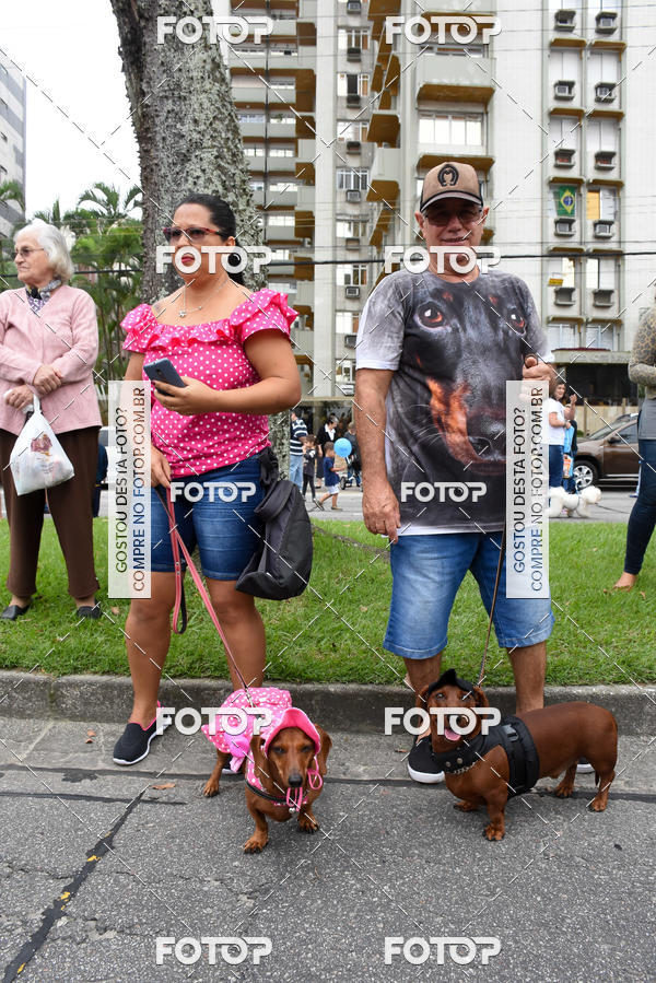 Buy your photos of the event13� C�ominhada - Santos on Fotop