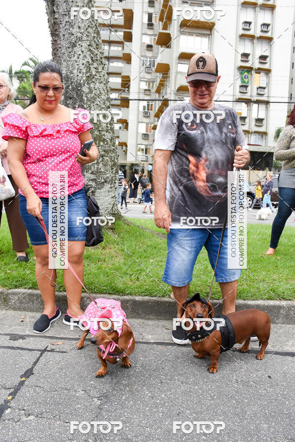 Buy your photos of the event13� C�ominhada - Santos on Fotop