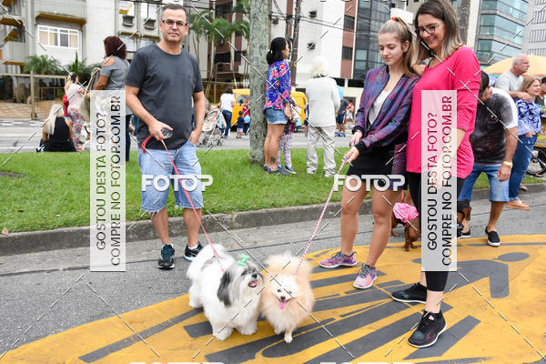 Buy your photos of the event13� C�ominhada - Santos on Fotop