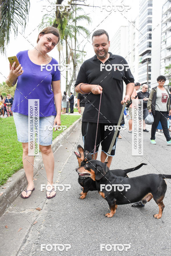 Buy your photos of the event13� C�ominhada - Santos on Fotop