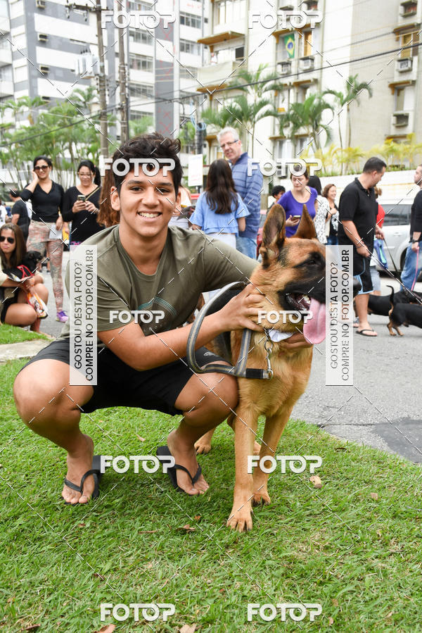 Buy your photos of the event13� C�ominhada - Santos on Fotop