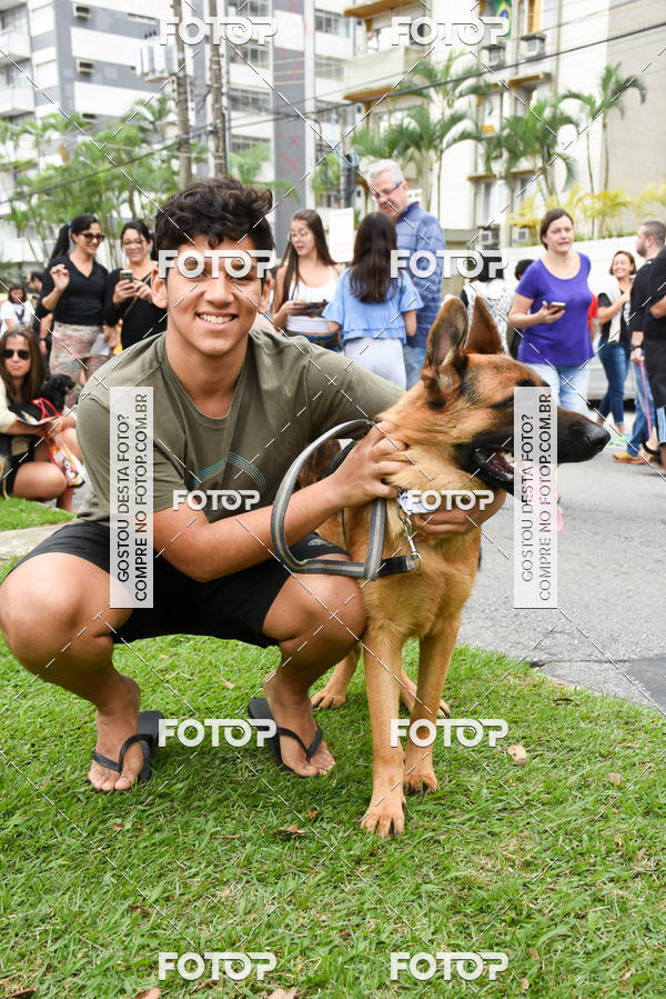 Buy your photos of the event13� C�ominhada - Santos on Fotop