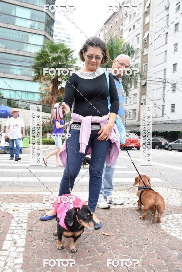 Buy your photos of the event13� C�ominhada - Santos on Fotop