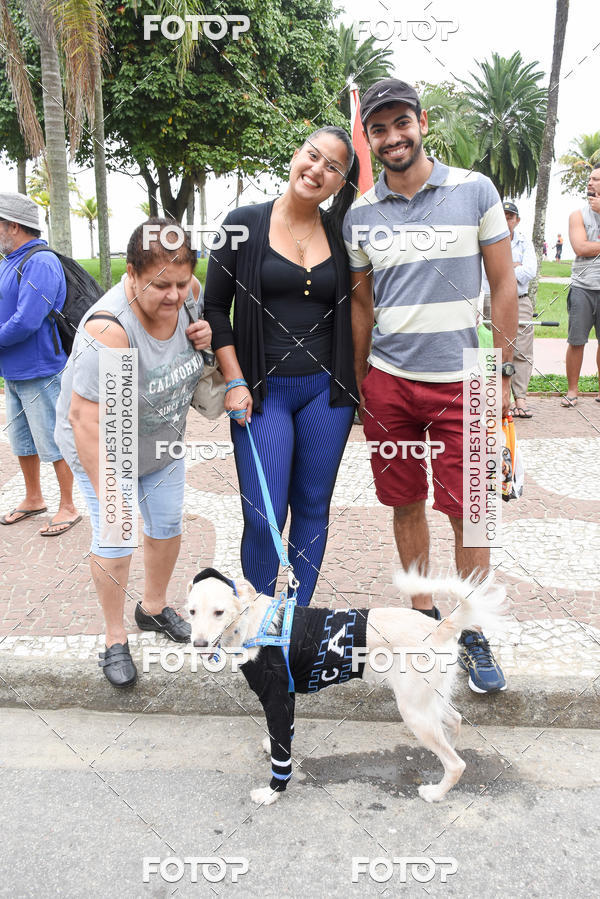 Buy your photos of the event13� C�ominhada - Santos on Fotop