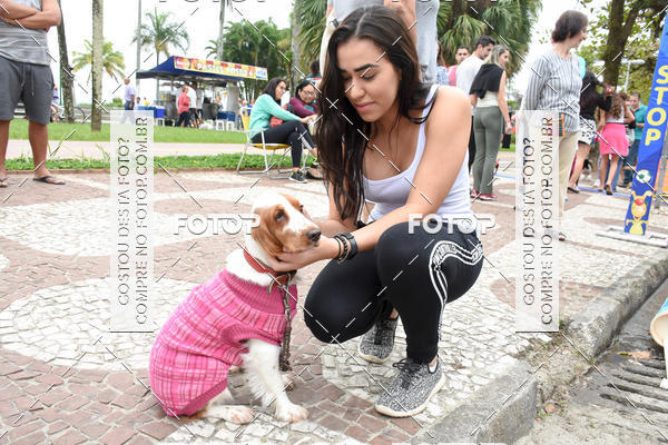 Buy your photos of the event13� C�ominhada - Santos on Fotop