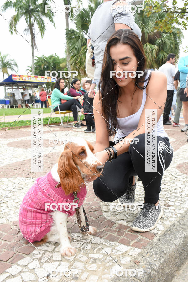 Buy your photos of the event13� C�ominhada - Santos on Fotop