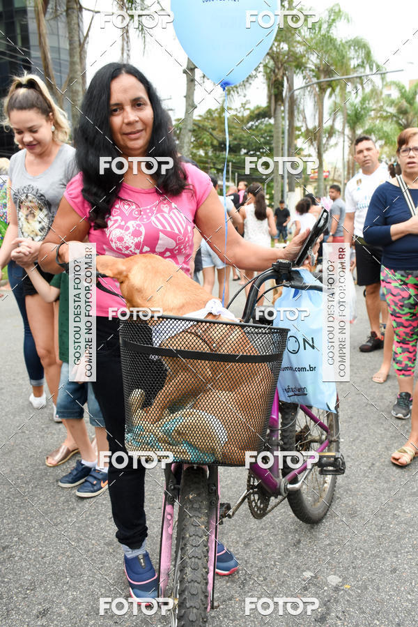 Buy your photos of the event13� C�ominhada - Santos on Fotop