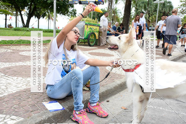 Buy your photos of the event13� C�ominhada - Santos on Fotop