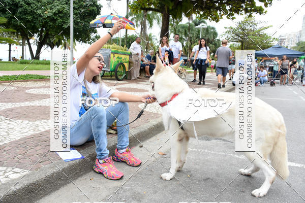 Buy your photos of the event13� C�ominhada - Santos on Fotop