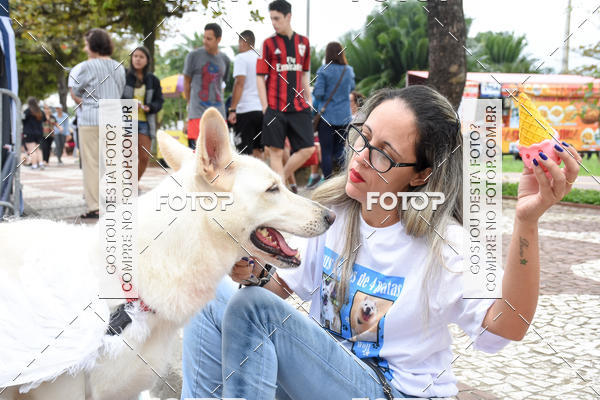 Buy your photos of the event13� C�ominhada - Santos on Fotop