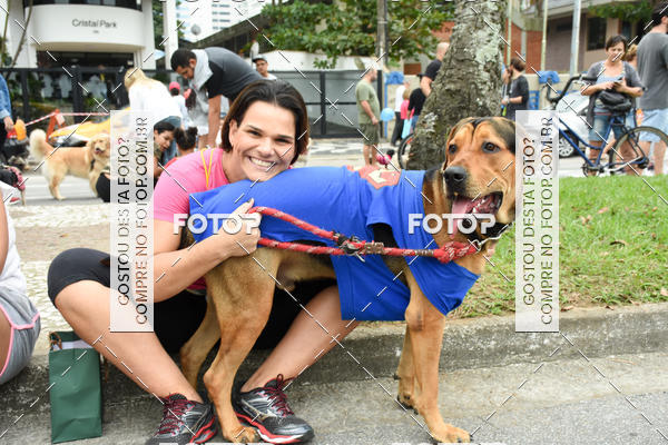 Buy your photos of the event13� C�ominhada - Santos on Fotop