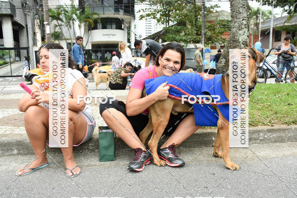 Buy your photos of the event13� C�ominhada - Santos on Fotop