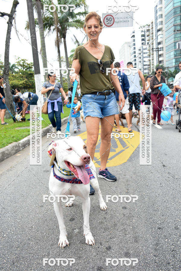 Buy your photos of the event13� C�ominhada - Santos on Fotop