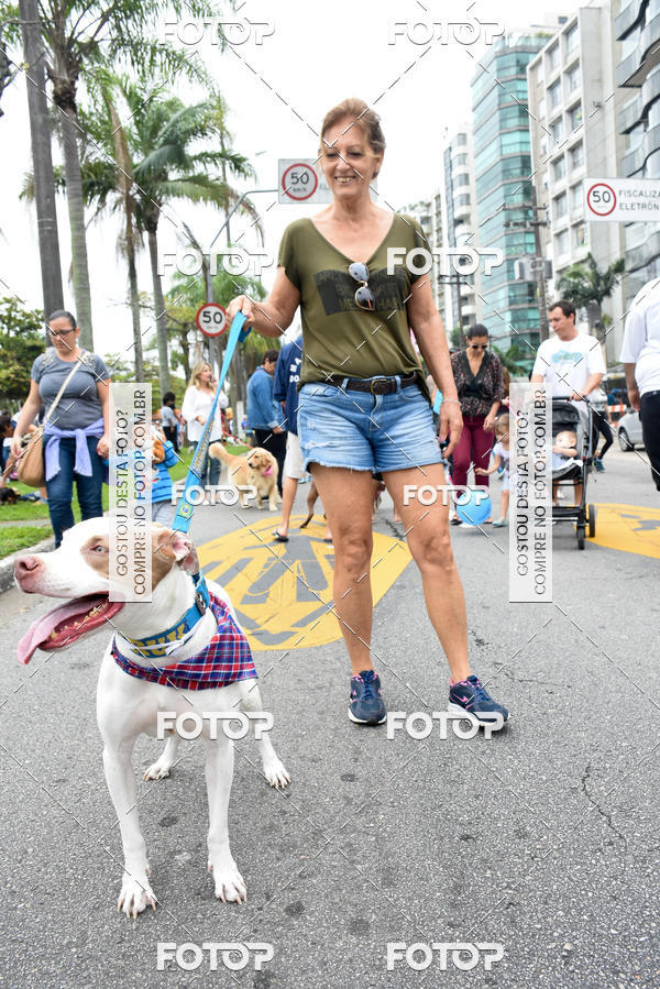 Buy your photos of the event13� C�ominhada - Santos on Fotop