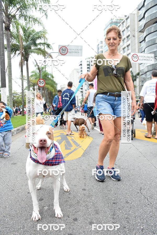 Buy your photos of the event13� C�ominhada - Santos on Fotop