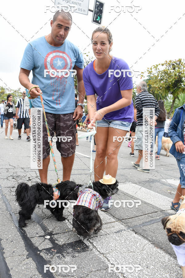 Buy your photos of the event13� C�ominhada - Santos on Fotop