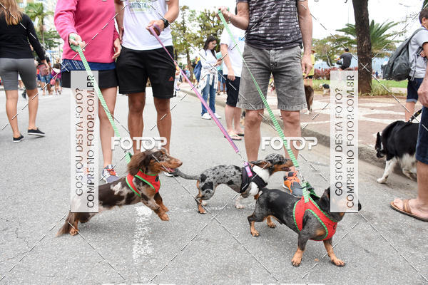 Buy your photos of the event13� C�ominhada - Santos on Fotop