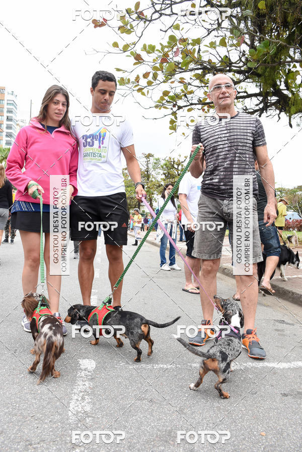 Buy your photos of the event13� C�ominhada - Santos on Fotop