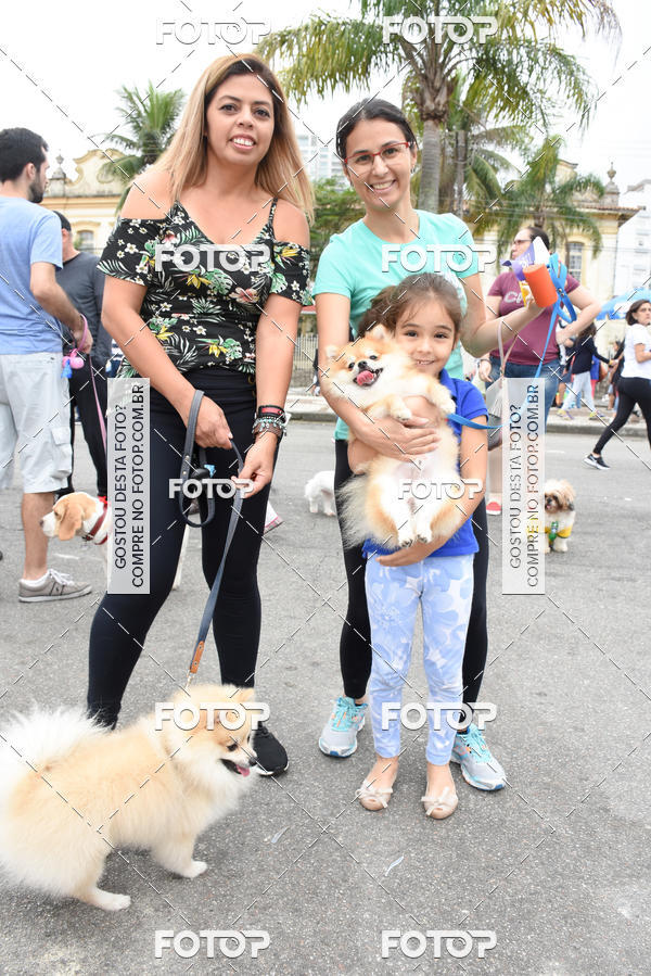 Buy your photos of the event13� C�ominhada - Santos on Fotop