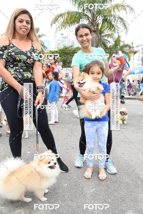 Buy your photos of the event13� C�ominhada - Santos on Fotop