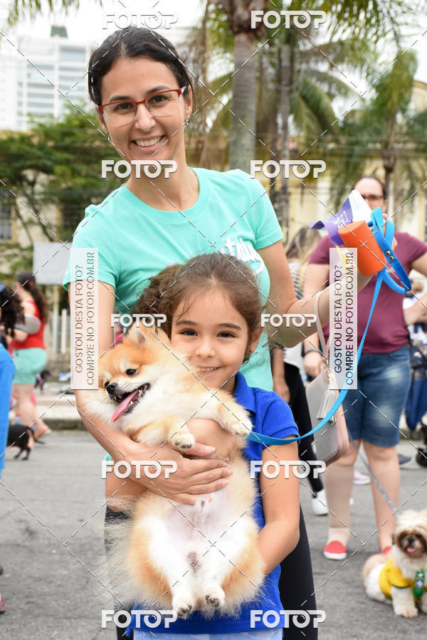 Buy your photos of the event13� C�ominhada - Santos on Fotop