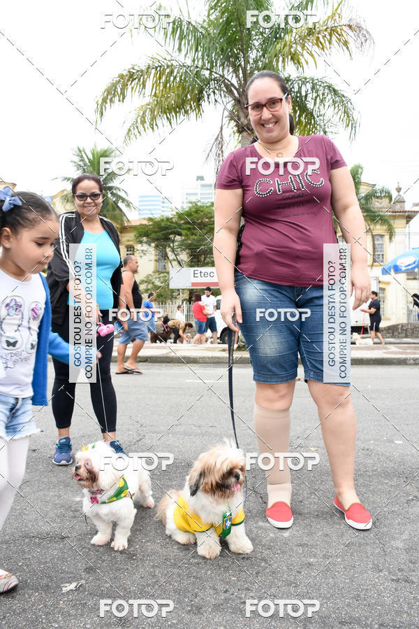 Buy your photos of the event13� C�ominhada - Santos on Fotop