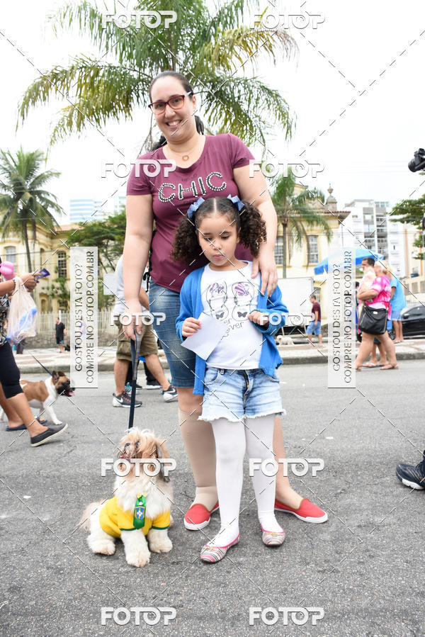 Buy your photos of the event13� C�ominhada - Santos on Fotop