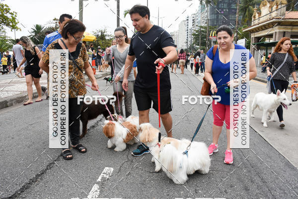 Buy your photos of the event13� C�ominhada - Santos on Fotop