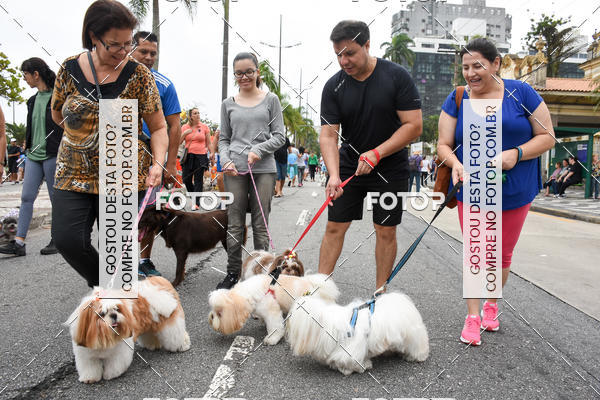 Buy your photos of the event13� C�ominhada - Santos on Fotop