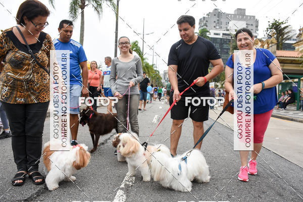 Buy your photos of the event13� C�ominhada - Santos on Fotop