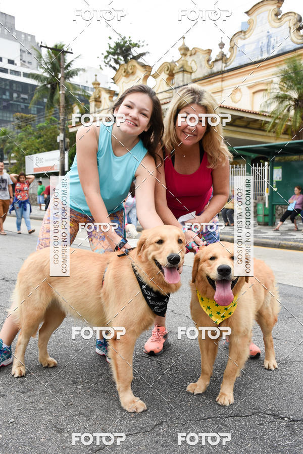 Buy your photos of the event13� C�ominhada - Santos on Fotop