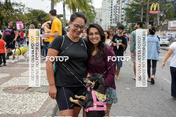 Buy your photos of the event13� C�ominhada - Santos on Fotop