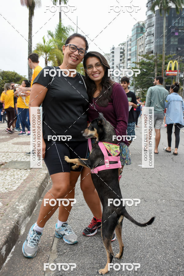 Buy your photos of the event13� C�ominhada - Santos on Fotop