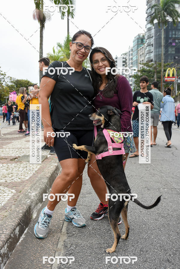 Buy your photos of the event13� C�ominhada - Santos on Fotop