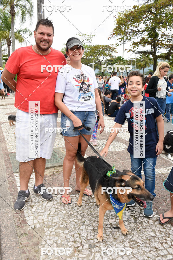 Buy your photos of the event13� C�ominhada - Santos on Fotop