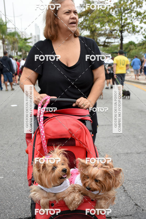 Buy your photos of the event13� C�ominhada - Santos on Fotop