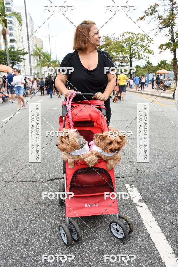 Buy your photos of the event13� C�ominhada - Santos on Fotop
