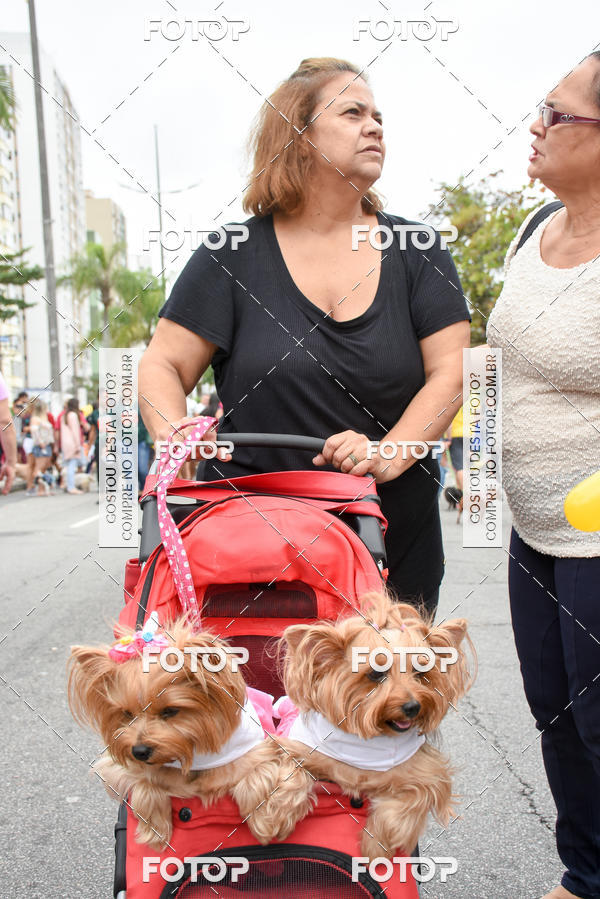 Buy your photos of the event13� C�ominhada - Santos on Fotop