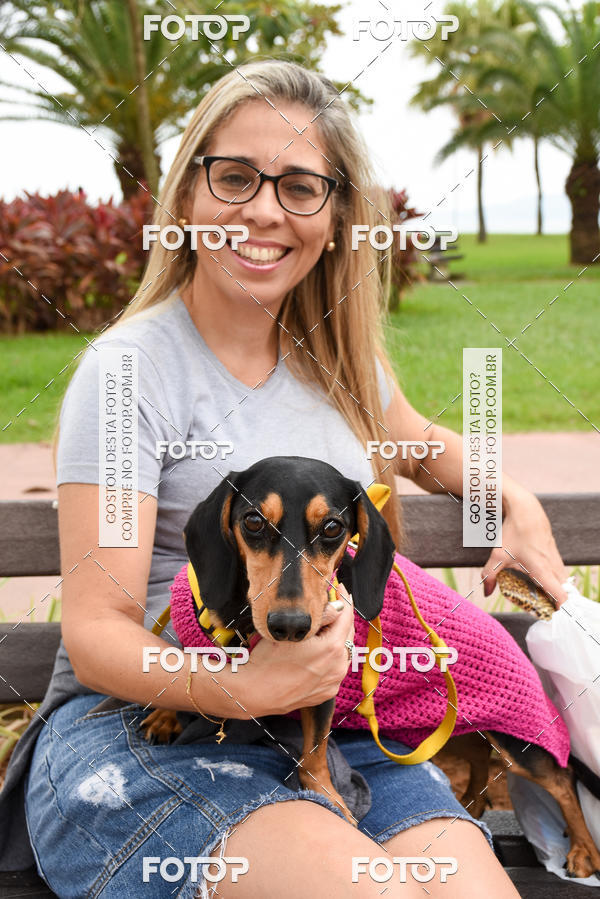 Buy your photos of the event13� C�ominhada - Santos on Fotop