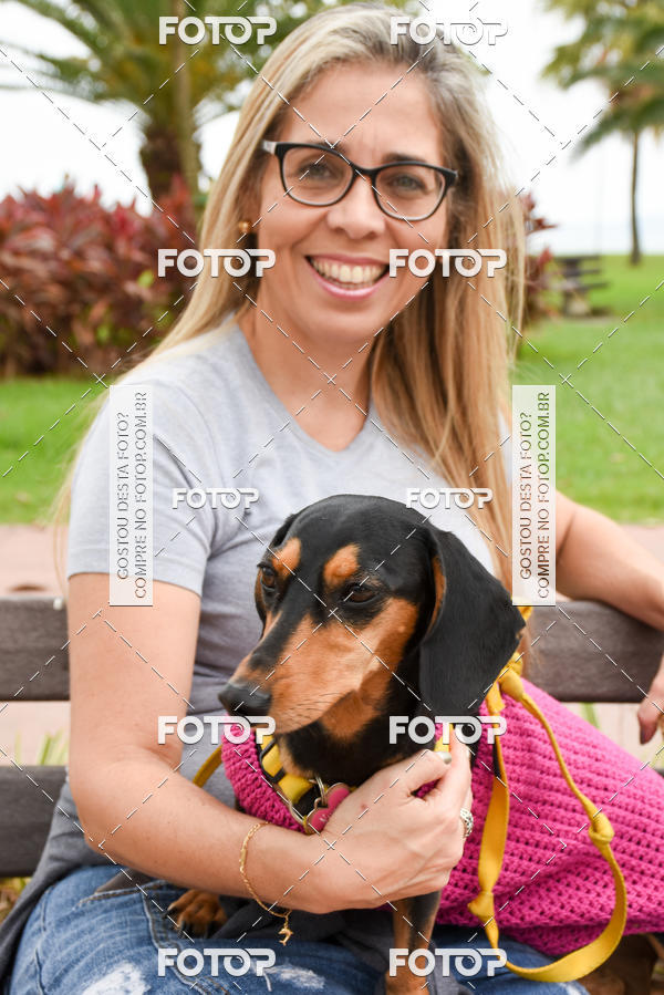 Buy your photos of the event13� C�ominhada - Santos on Fotop