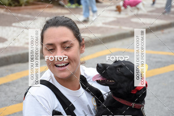 Buy your photos of the event13� C�ominhada - Santos on Fotop