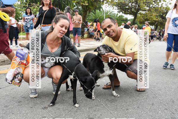 Buy your photos of the event13� C�ominhada - Santos on Fotop