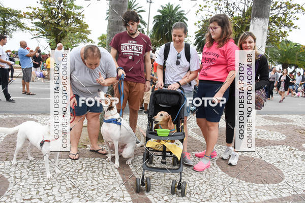 Buy your photos of the event13� C�ominhada - Santos on Fotop