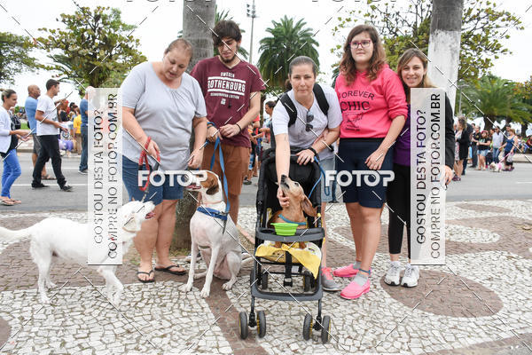 Buy your photos of the event13� C�ominhada - Santos on Fotop