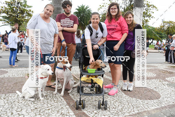 Buy your photos of the event13� C�ominhada - Santos on Fotop