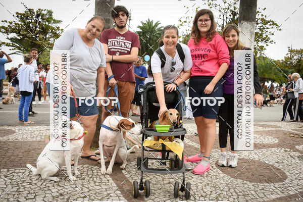 Buy your photos of the event13� C�ominhada - Santos on Fotop